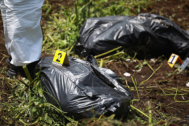 ekshumacijos ir perlaidojimo paslaugos